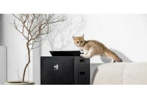 Máy lọc không khí hút lông chó mèo: Giải pháp cho người yêu thú cưng